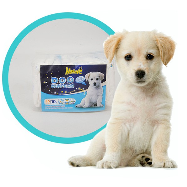 Bỉm chó mèo DIAPERS (10 miếng)